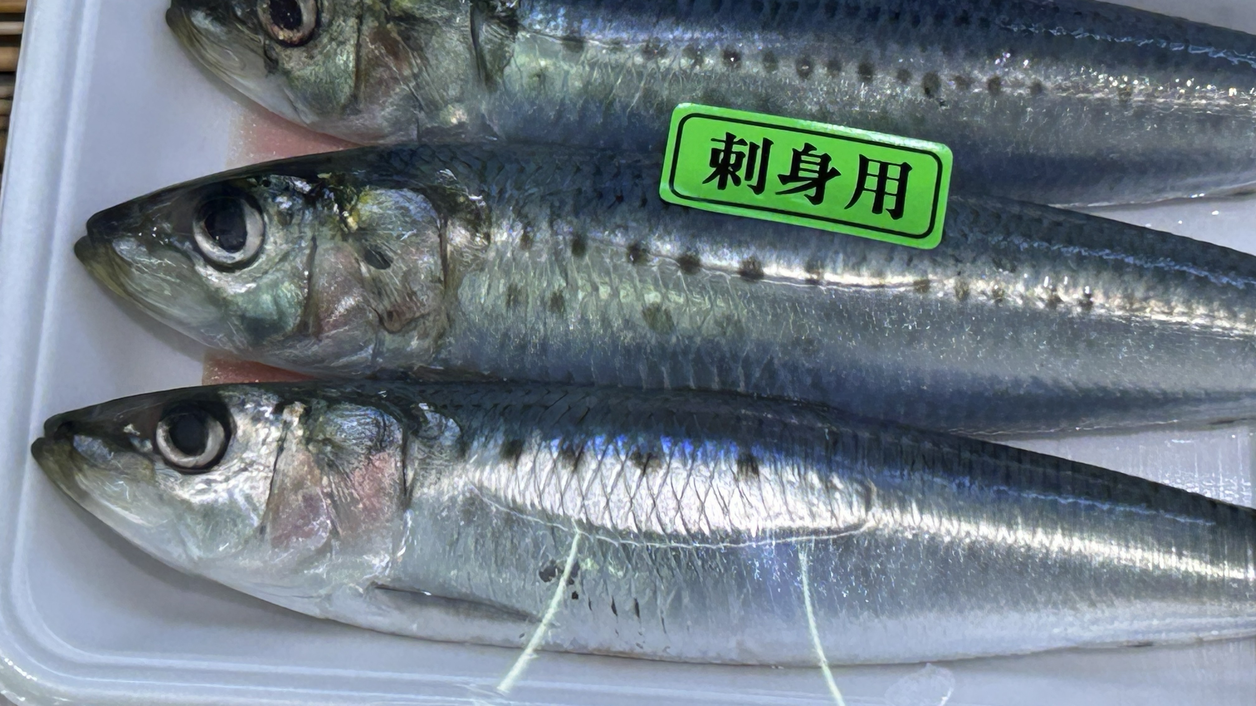 Fresh sardines displayed for sale at a Japanese supermarket (Image credit: Chris Loew).